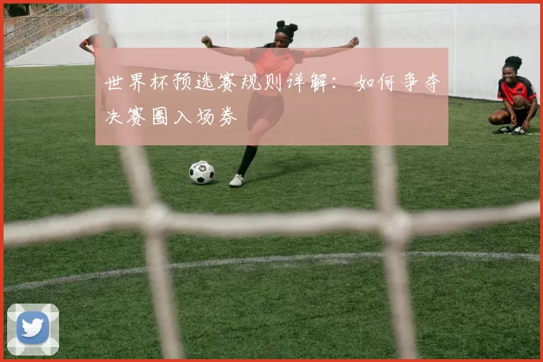 世界杯预选赛规则详解：如何争夺决赛圈入场券