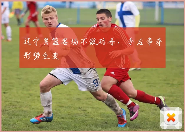 辽宁男篮客场不敌对手，季后争夺形势生变