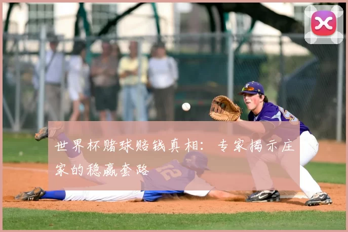 世界杯赌球赔钱真相:专家揭示庄家的稳赢套路