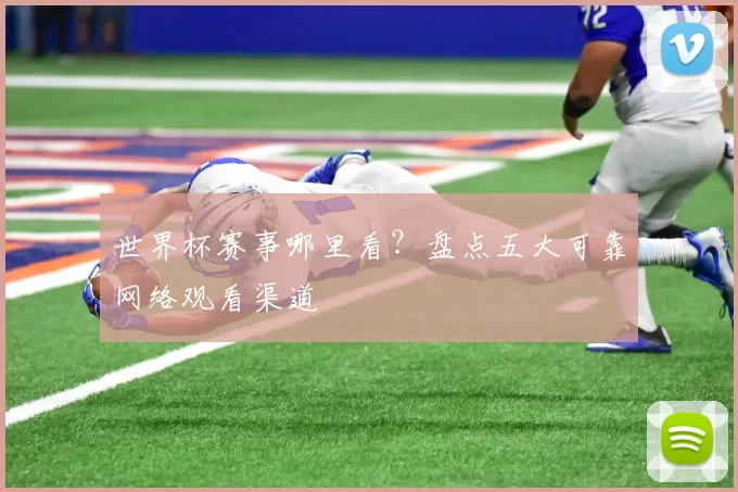 世界杯赛事哪里看？盘点五大可靠网络观看渠道
