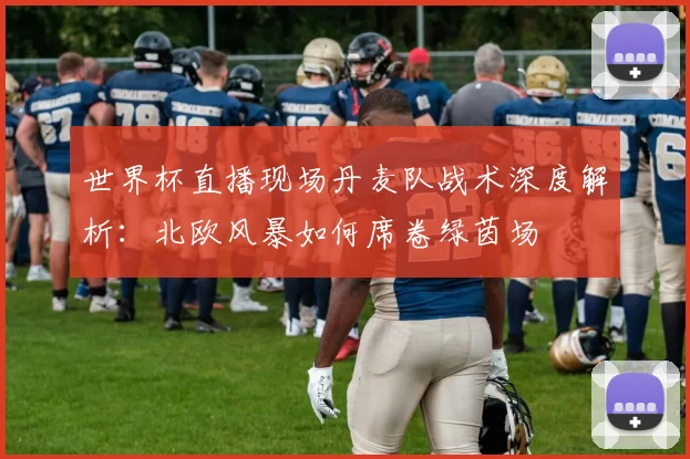 世界杯直播现场丹麦队战术深度解析：北欧风暴如何席卷绿茵场
