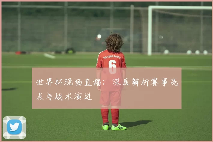 世界杯现场直播:深度解析赛事亮点与战术演进