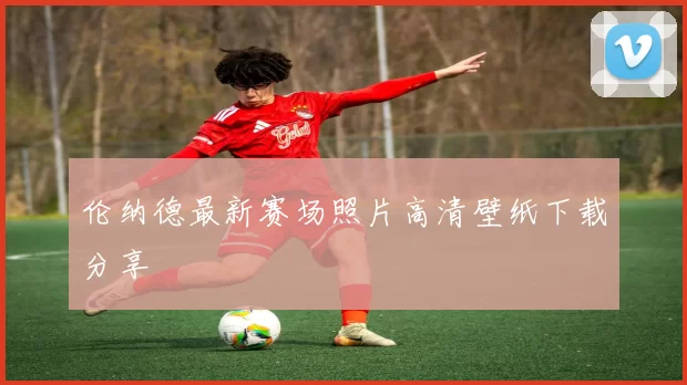 伦纳德最新赛场照片高清壁纸下载分享
