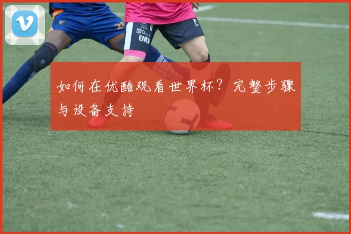 如何在优酷观看世界杯?完整步骤与设备支持