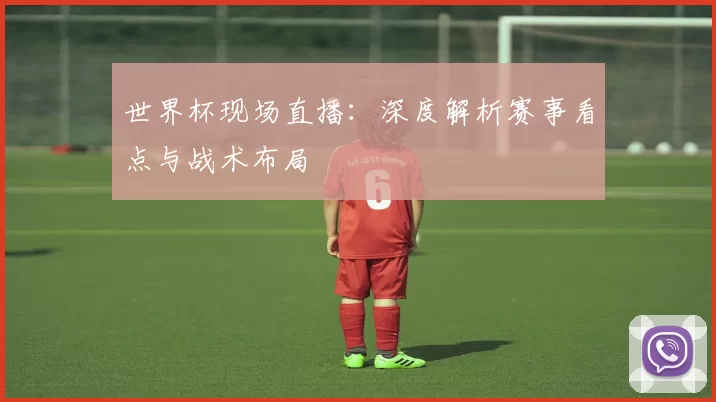 世界杯现场直播:深度解析赛事看点与战术布局