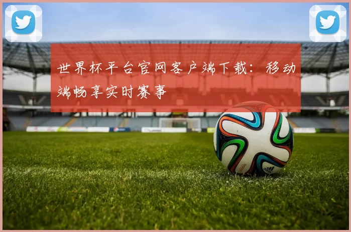 世界杯平台官网客户端下载：移动端畅享实时赛事
