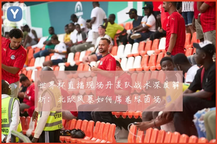 世界杯直播现场丹麦队战术深度解析：北欧风暴如何席卷绿茵场