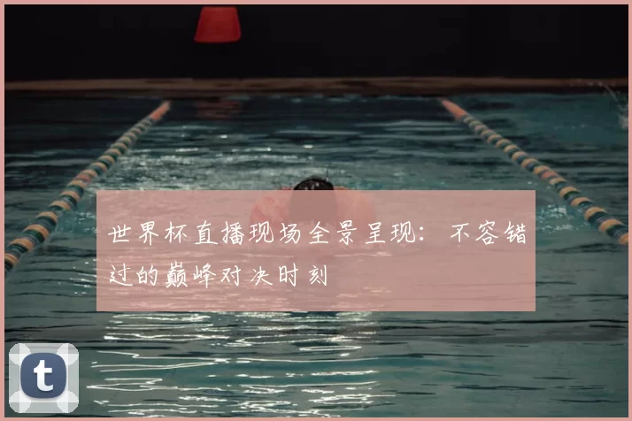 世界杯直播现场全景呈现:不容错过的巅峰对决时刻